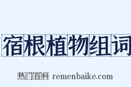 宿根植物组词是什么意思的图片